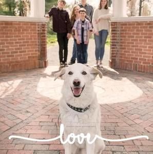 Meet your Posher, Billie-jean